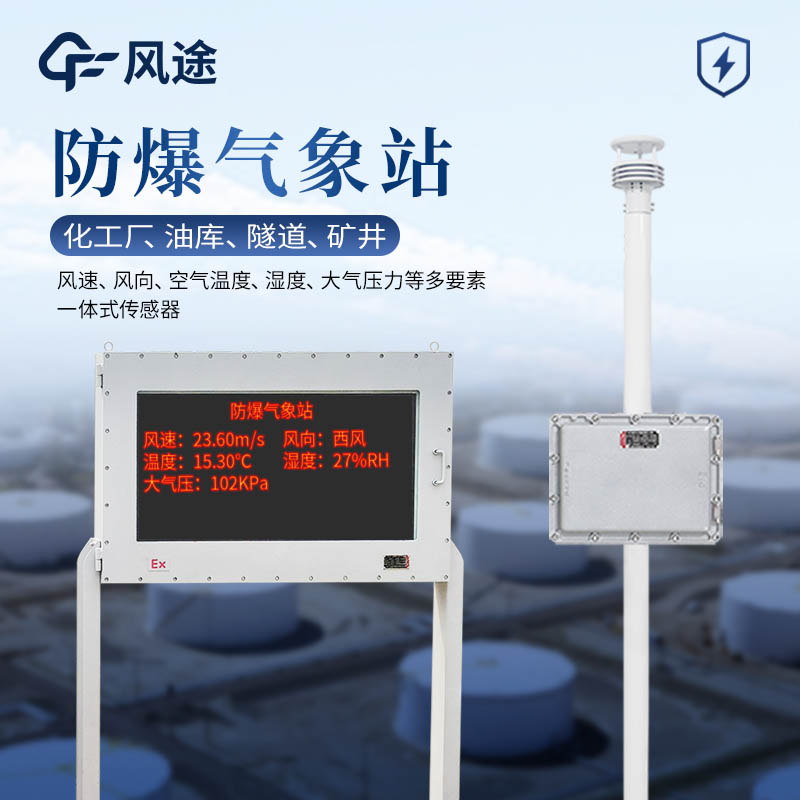 重大危險(xiǎn)源氣象檢測(cè)儀