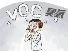保衛(wèi)藍天 風(fēng)途扎根vocs在線監(jiān)測領(lǐng)域