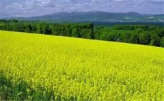怎么用空氣負氧離子監(jiān)測系統(tǒng)？